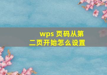 wps 页码从第二页开始怎么设置